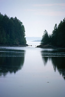 Maine: Desert Island, Pretty Marsh, June