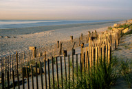 New Jersey: Bay Head, August