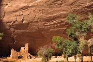 Arizona: Chinle, Canyon de Chelly National Monument, Canyon del Muerto, Anasazi “Antelope House” ruin (c. AD 1150) and cottonwood trees at base of sandstone cliff