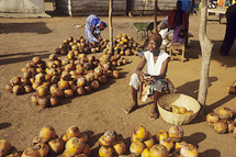 Market vendor