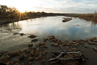 Rio Grande at sunset in Albuquerque, NM