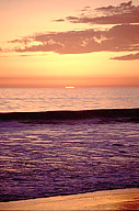 California: Carpinteria, Padaro Beach, February