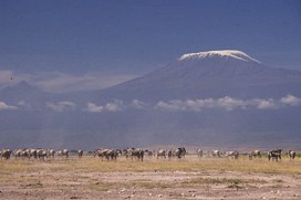 Mt. Kili in distance