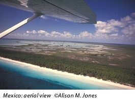 Mexico, aerial view