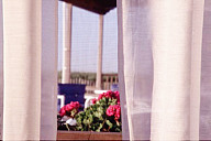 New Jersey: Bay Head, geraniums and porch seen through window screen